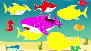 Learn Sea Animals Name For Kids |  Little Baby Shark and More Fishes | Song for Kids