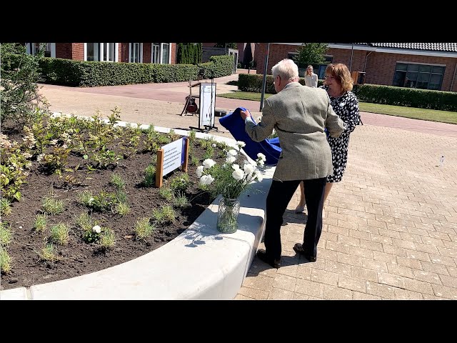 Onthulling witte anjerperkje