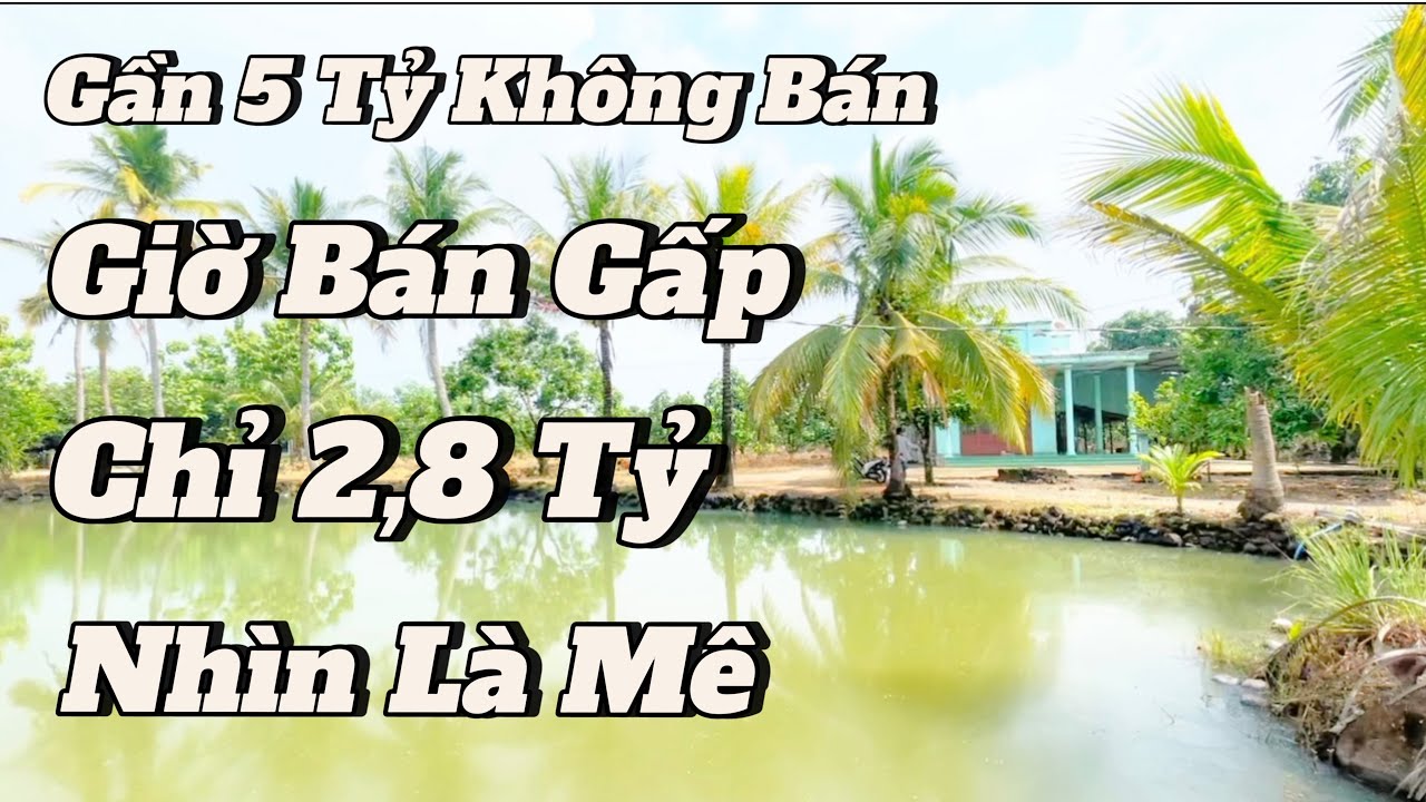 Ngoại Lớn Tuổi Rồi || Cần Bán Gấp Nhà Vườn , ao cá vườn trái cây