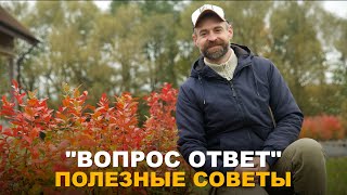 видео: РУБРИКА  картинка: РУБРИКА