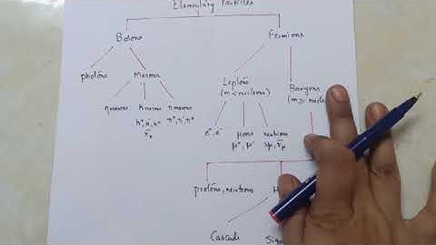 Nuclear Physics-Classification of elementary particles