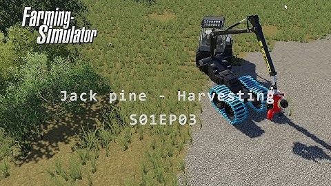 FS19 | Logging away | Timelapse | S01EP03