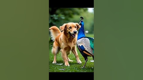 Grok Imagine | Grok Video | Grok AI | War Movie | War Film | Best Horror Film