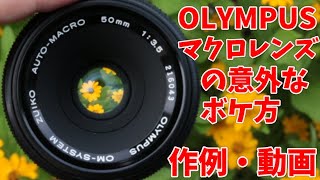 オリンパス Zuiko MC Auto Macro 50mm f3.5