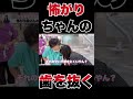 怖がりちゃんの余分な歯を抜くよ