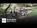 Cleaning up the Oakland Zoo for Earth Day, plus tornadoes spotted in Central Valley