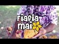 Fiafia mai show 15 may 2024  radio samoa