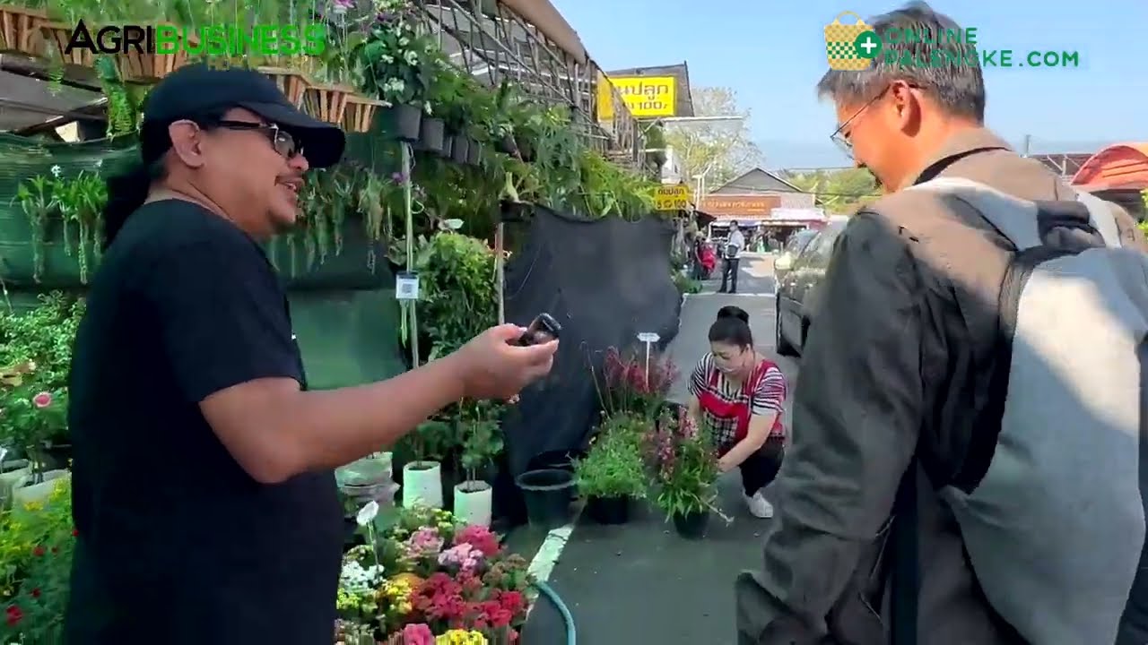 ⁣Garden shops sa Thailand: Mga pwede e benchmark + Mga panindang wala sa Pinas.