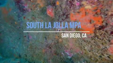 Trident ROV highlights