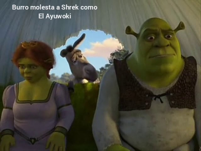 Momolopolis - ¿Será? 😰😨 #memes #burro Fiona Shrek Shrekadas Shrek  tercermundista