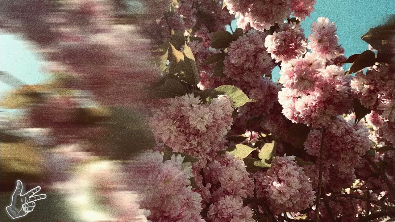 known by you - Vicky Sometani, MAX RAD known by you - Vicky Sometani, MAX RAD