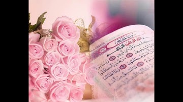 قرآن كريم بصوت القارئ هزاع البلوشي  أجمل حالات واتس اب دينيه 🖤  الحجر