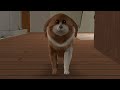 Middle of video
