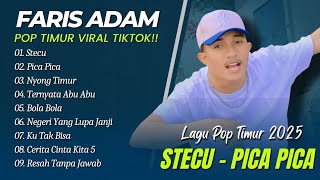 Juan Reza - PICA PICA | Faris Adam - STECU | NYONG TIMUR | VIRAL TIMUR POP SONG TIKTOK 2025