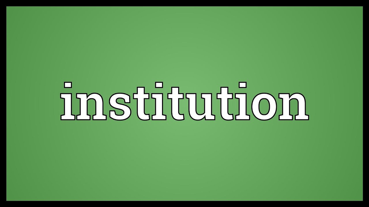 Institution Meaning