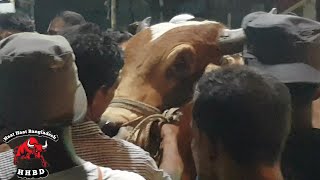 Sold 210K Rahmatganj Gorur Haat 2018 Haat Haat Bangladesh Hhbd