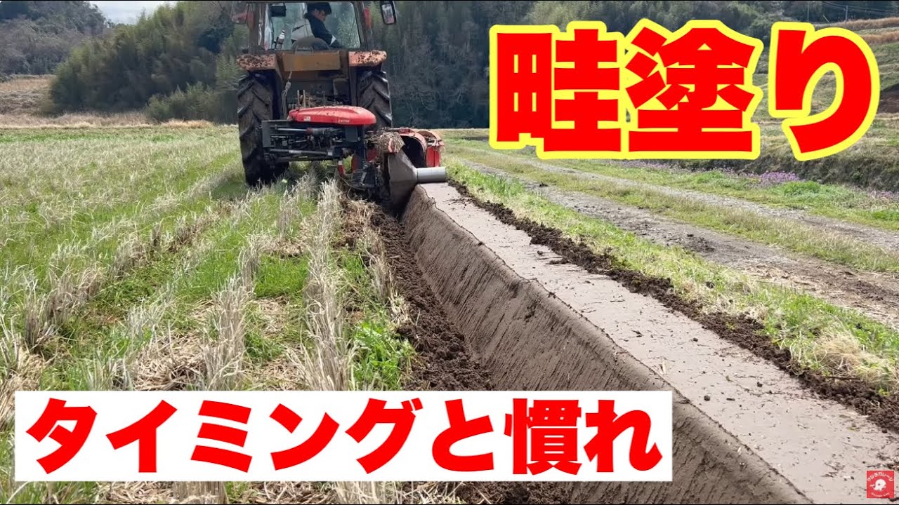 Production increase plan] Increase the number of rice fields