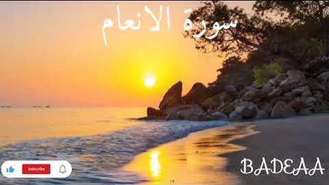 سورة الانعام بصوت هادي الشيخ ناصر القطامي 🤫🎧