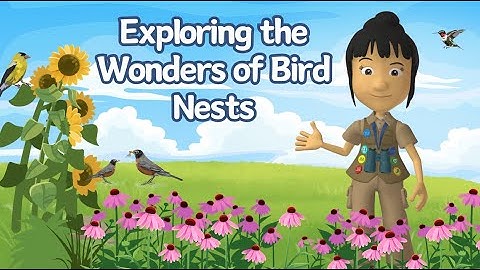A WonderGrove for Birds: Exploring the Wonders of Bird Nests