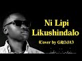 Ni Lipi Likushindalo - Ali Mukhwana(Cover by Groja)