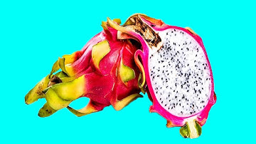 과일, 채소 및 버섯 내부의 숨겨진 패턴 스톱 모션. Hidden Patterns Inside Fruits, Vegetables stop-motion 64