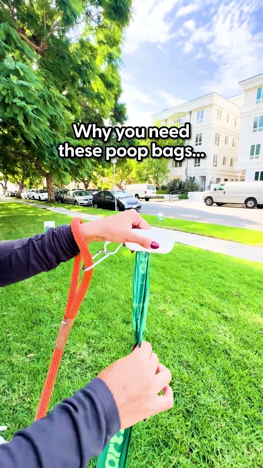 The Best Poop Bags | The Pack