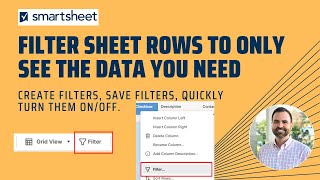 Filter Large Data Sets in Smartsheet Sheets