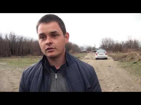 Видео: Задържана плацента при кучета - Задържана плацента