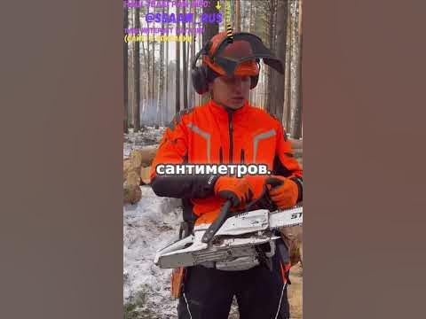 Какую шину установить на ШТИЛЬ STIHL ? - YouTube