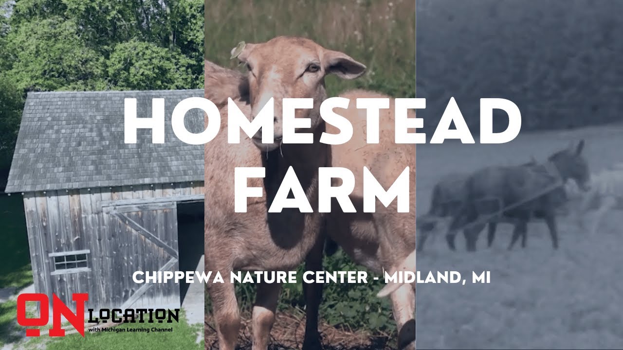 Step Back in Time! Explore 1800s Michigan Farm Life | On Location With MLC