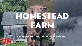 Step Back in Time! Explore 1800s Michigan Farm Life | On Location With MLC