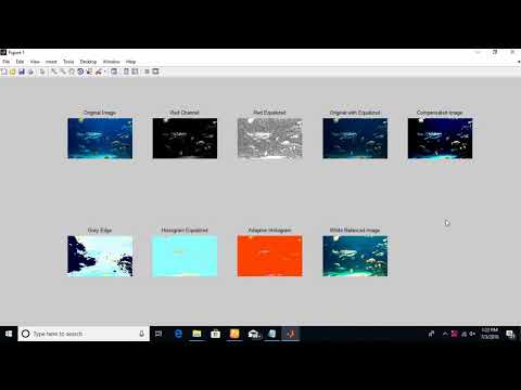 #5 Underwater Image Detection In Image Processing - MATLAB