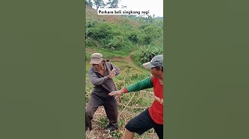 GARA GARA BORONG SINGKONG RUGI #foryou #shorts #fyp #viral #komedisunda