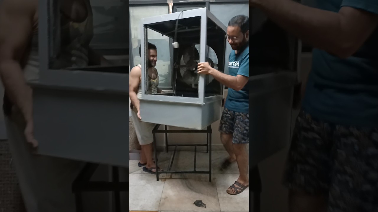 Prank Pe Pronk | #56 | #minivlog #dailyvlog #part2  #shorts #ytshorts