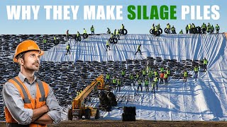 How Farmers Create a Mountain of Food For Winter