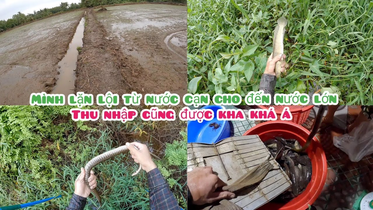 Mình Lặn Lội Hơn 6 Tiếng Đồng Hồ Thu Nhập Được 700k Á Khá May Mắn  Luôn