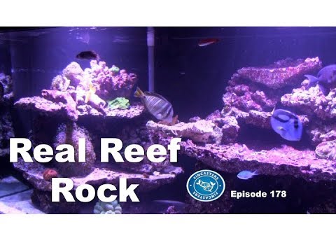 Real Reef Rock Part 3 of the Fincasters 180 build series. Fincasters  Episode 178 