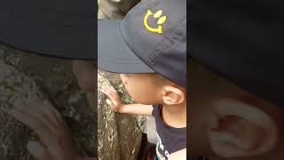 harimau lagi mandi kepanasan dia jd nyebur ke air #jalanjalan #kebunbinatang #familytime