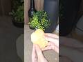 gol gappe recipe #golgappa #food #support #viral #cooking #ytshorts #easyrecipe#like#yt