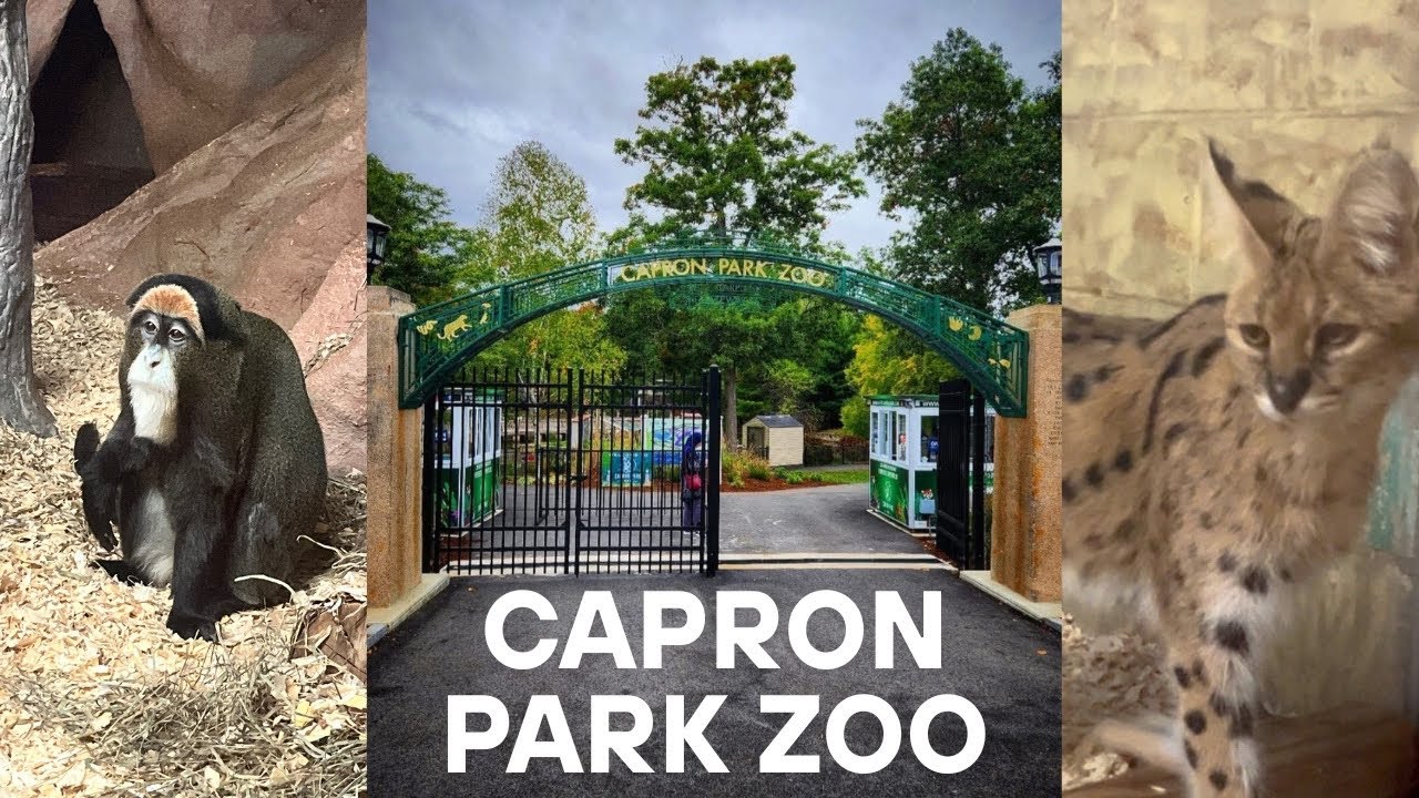 Capron Park Zoo 🦁  | THINGS TO DO IN ATTLEBORO, MA