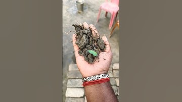 Những Vật Dụng Đa Năng & Tiện ích Trong Đời Sống Hiện Đại