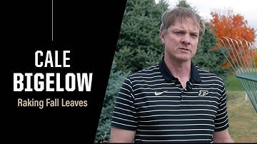 Purdue Expert: Should You Rake Fall Leaves?