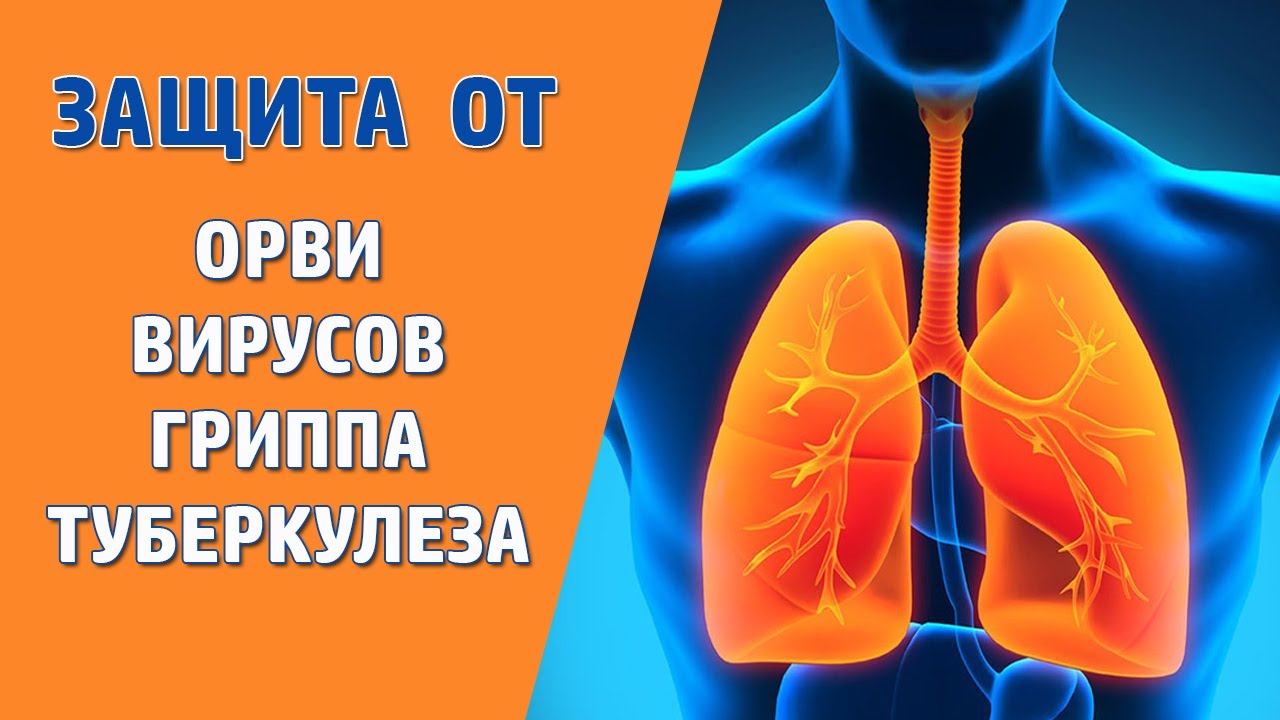 Как уберечь себя от ОРВИ, гриппа, вирусов и туберкулеза в период пандемии?