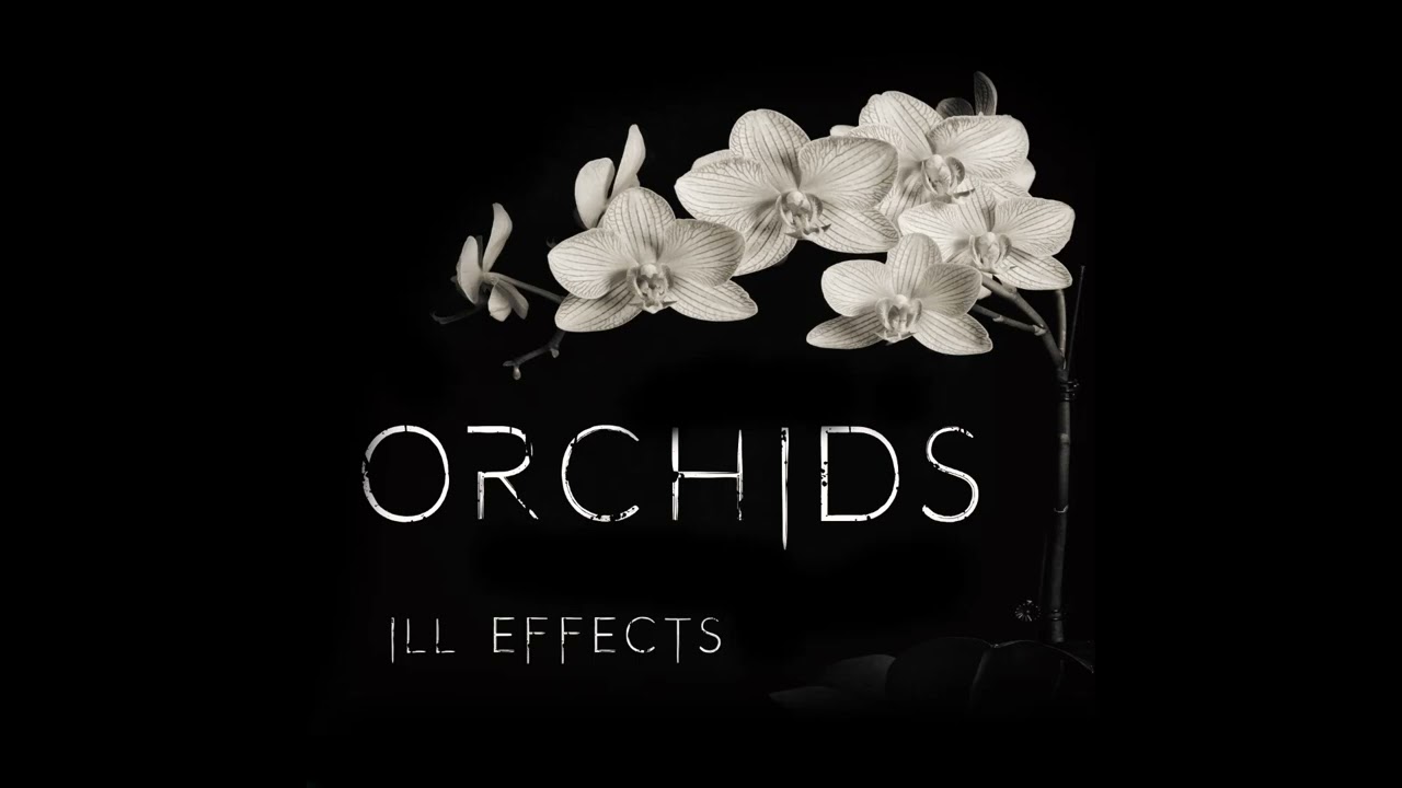 Watch ill effects - Shaolin Temple #electronicmusic on YouTube Watch ill effects - Shaolin Temple #electronicmusic on YouTube