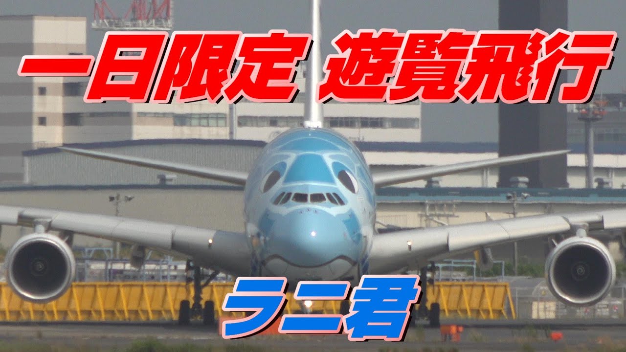 飛行 遊覧 フライング ホヌ ANA名物「巨大機A380で遊覧飛行」が“名阪進出”！ 4月に関西＆中部でも遊覧実施へ（乗りものニュース）