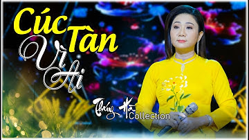 CÚC TÀN VÌ AI 🌻Hoa Vàng Đã Thôi Vàng Vì Muộn Màng | Thúy Hà Collection