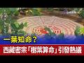 一葉知命？ 西藏密宗「樹葉算命」引發熱議