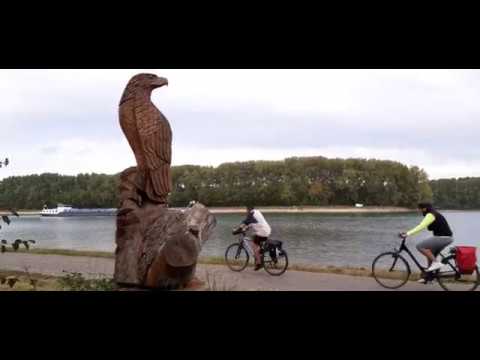 Video: Didžiausios Upės Vokietijoje