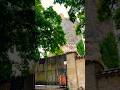 Монастырь на скале в Грузии #грузия #монастырь #скала #горы #природа #georgia #shorts #travel