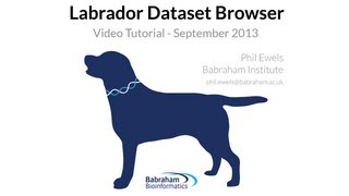 Introduction to Labrador